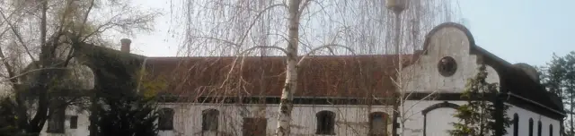 Kalocsai káptalan egykori pincéje