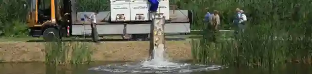 Irmapusztai Horgásztó