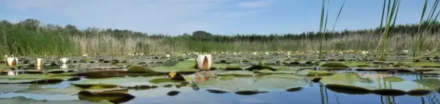 Bikatorok tanösvény