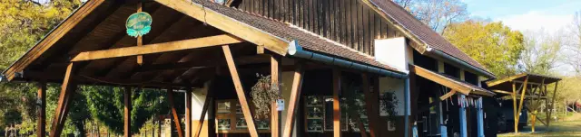 Kaszói Erdei Vasút