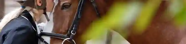 Fülöp Fogathajtó és Lovasiskola