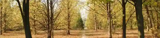 Kecskeméti Arborétum