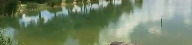 Ho-Hó tó Horgászparadicsom