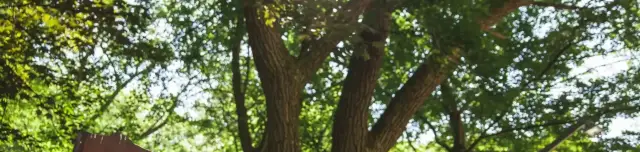 Strázsa-hegyi Tanösvény