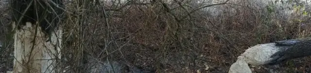 Fürgecselle tanösvény