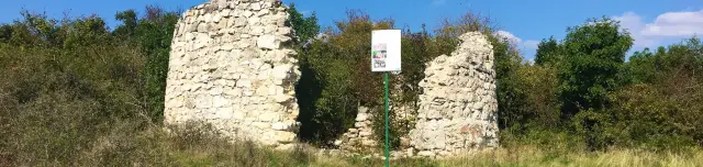 Kerekszenttamási templomrom