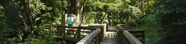 Kertek-alja Tanösvény