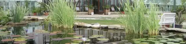 Pálmaház és Madárpark