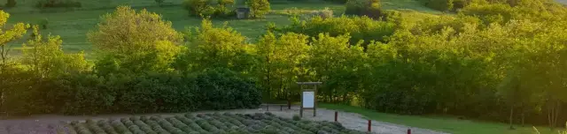 Pálos Gyógynövénykert