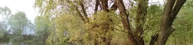 Kétegyházi homokbányató