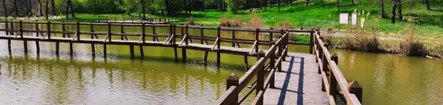 Békamocsár tanösvény