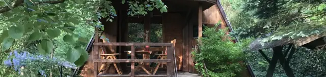 Erdei-lak faházikó