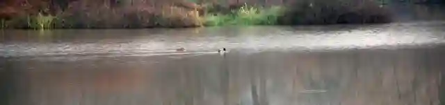 Bonyhádi-tőzegtavak