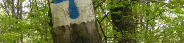 Holdviola Tanösvény