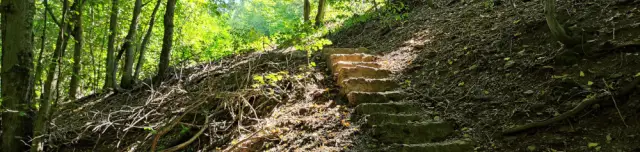 Szent Erzsébet-forrás