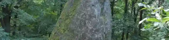 Ördögtorony - kaptárkő