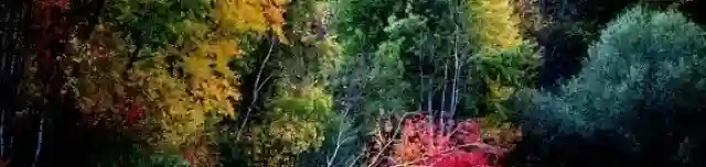 Ágneslaki Ökoturisztikai Centrum