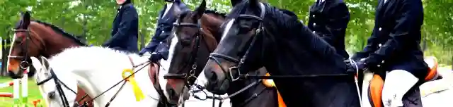 Ameko Lovas és Szabadidő Centrum