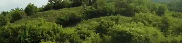 Várdomb (Ilona-vár)