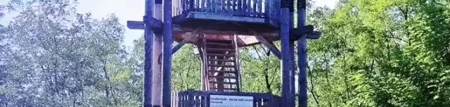 Malom erdei kilátó