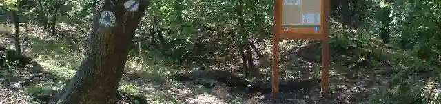 Barát-réti Tanösvény