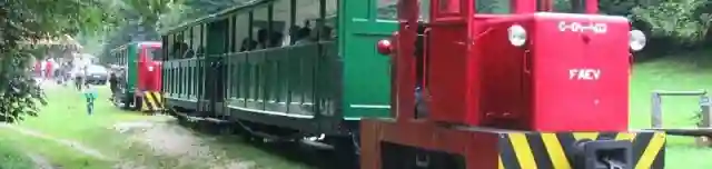 Felsőtárkányi Erdei Vasút