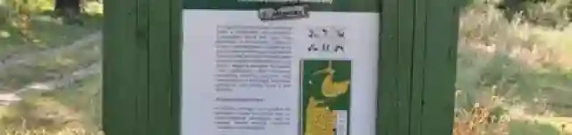 Kisgombosi tanösvény