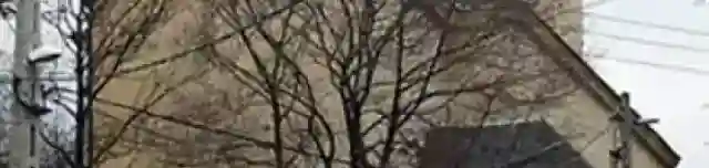 Szent Miklós-templom