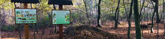 Öregerdő tanösvény