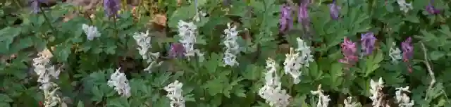 Berek-erdő tanösvény