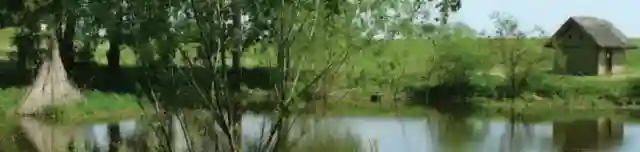 Árpád-kori Régészeti Park