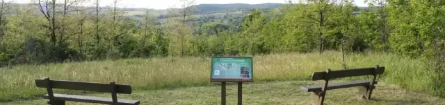 Négyszögletű Kerek Erdő tanösvény