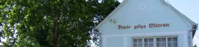 Fehér Gólya Múzeum