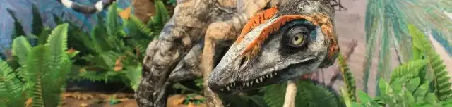 Helytörténeti és Természettudományi Gyűjtemény