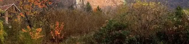 Sarlós Boldogasszony plébániatemplom