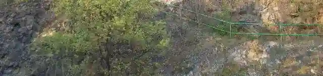 Andezitbánya tanösvény