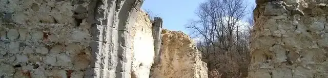 Pálos templom- és kolostorrom