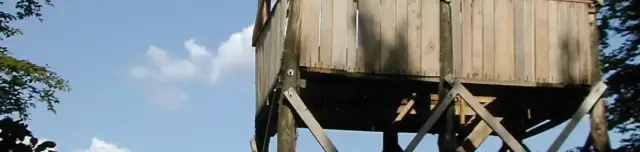 Rétisasfészek kilátó