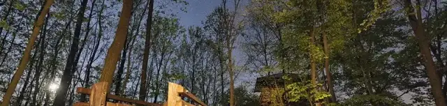 Lombkorona tanösvény