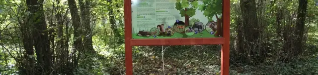 Richter Anna tanösvény és mezítlábas park