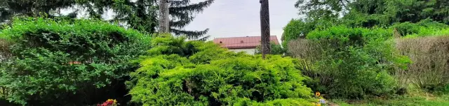 Millenniumi emlékpark