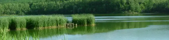 Acélgyári Horgásztó