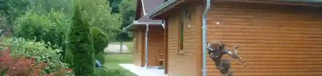 Rigófeszek Vendégház