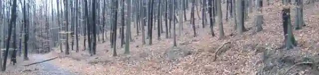 Pisztráng Tanösvény