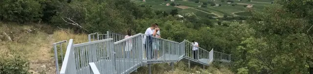 Kikerics Panoráma Sétány