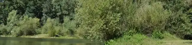 Dráva-ártér tanösvény