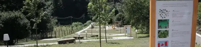 Ősjuhar Mini Tanösvény