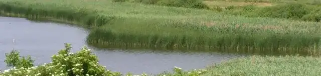 Pacsmagi-tavak Természetvédelmi terület