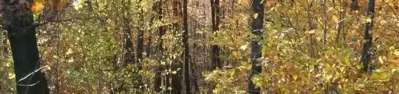 Tárnics tanösvény