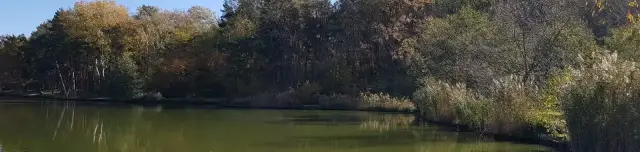 Rinyaszentkirályi Horgásztó